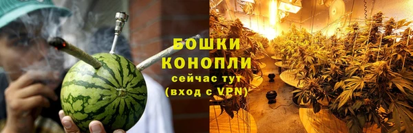 круглые Белокуриха